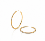 Goddess Hoops