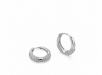 Silver Luster Hoops